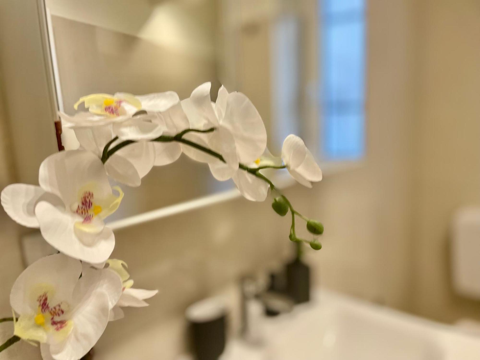 Happy Family Apartments Incantesimo Генуя Екстер'єр фото